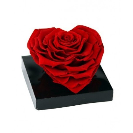 Rose Eternelle forme coeur | Fournisseur Rose Eternelle | Qualité Prix
