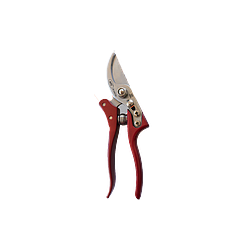 Secateur STAR 21CM +