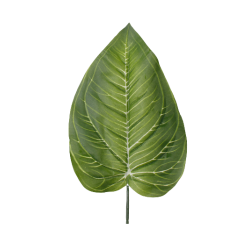 Feuille Artificielle Hosta | Grossiste Fleuriste | Qualité Prix