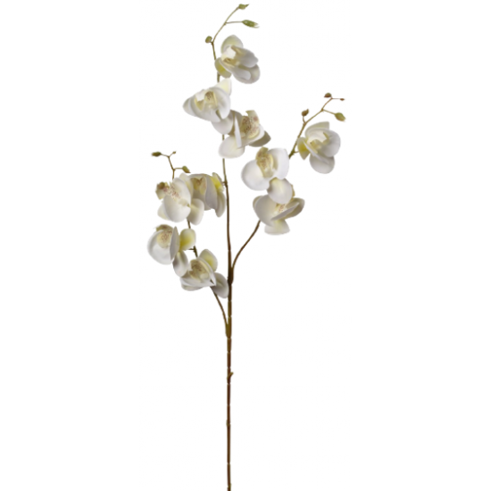 Mini orchidée phalaenopsis artificielle Crème 83cm