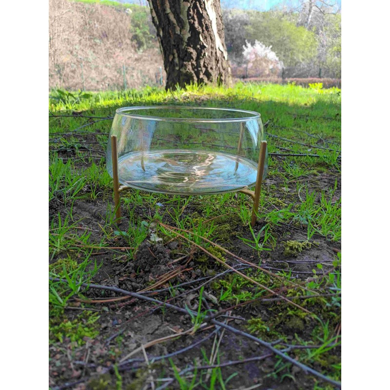 Coupe sur pied ø 21 cm H 12,5cm + Coupe sur pied ø 21 cm H 12,5cm +