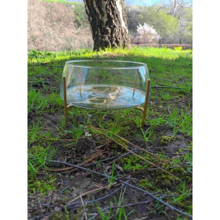 Coupe sur pied ø 21 cm H 12,5cm + Coupe sur pied ø 21 cm H 12,5cm +