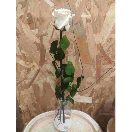 Composition florale décorative rose éternelle en vase Catherine