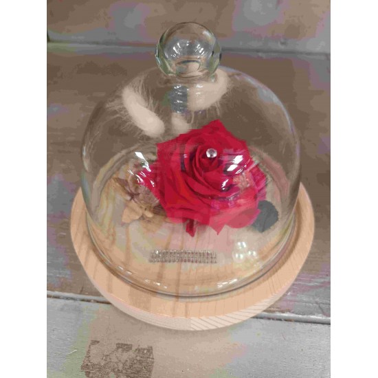 Composition florale décorative cloche de rose éternelle Marlène
