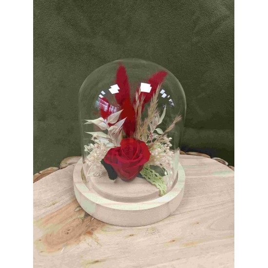 Composition Florale Décorative Rose Eternelle et Fleurs Séchées sous Cloche - Influence Rouge