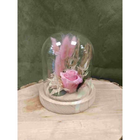 Rose stabilisée sous cloche | Grossiste fleuristes | Qualité prix Rose stabilisée sous cloche | Grossiste fleuristes | Qualité prix