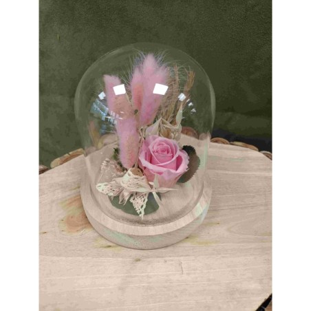 Rose stabilisée sous cloche | Grossiste fleuristes | Qualité prix Rose stabilisée sous cloche | Grossiste fleuristes | Qualité prix