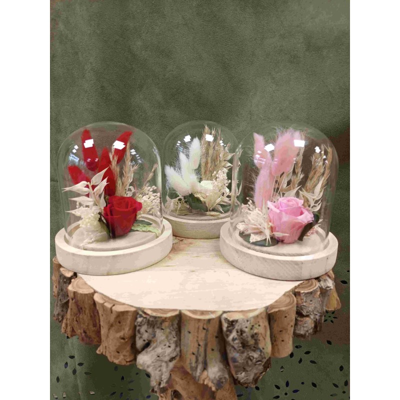 Rose stabilisée sous cloche | Grossiste fleuristes | Qualité prix Rose stabilisée sous cloche | Grossiste fleuristes | Qualité prix