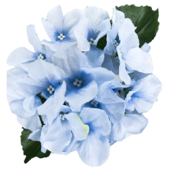 Hortensia Hydrager | Fleurs Artificielles | Pas cher