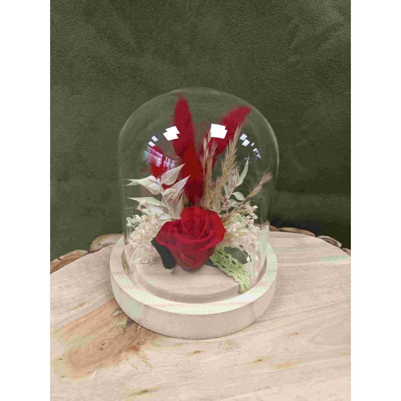 Rose stabilisée sous cloche | Grossiste fleuristes | Qualité prix Rose stabilisée sous cloche | Grossiste fleuristes | Qualité prix
