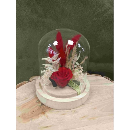Rose stabilisée sous cloche | Grossiste fleuristes | Qualité prix Rose stabilisée sous cloche | Grossiste fleuristes | Qualité prix