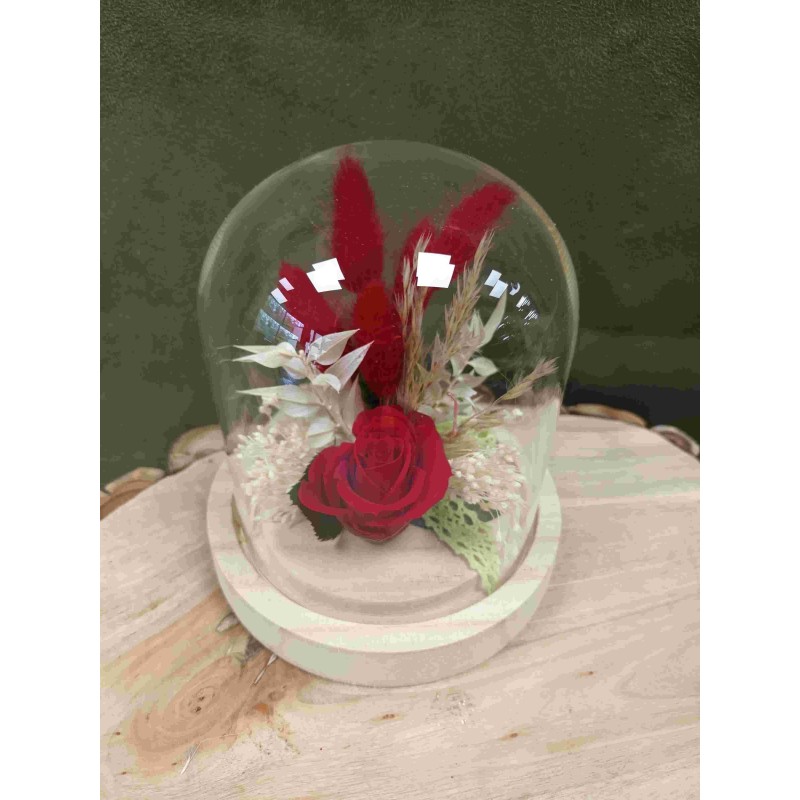 Rose stabilisée sous cloche | Grossiste fleuristes | Qualité prix Rose stabilisée sous cloche | Grossiste fleuristes | Qualité prix