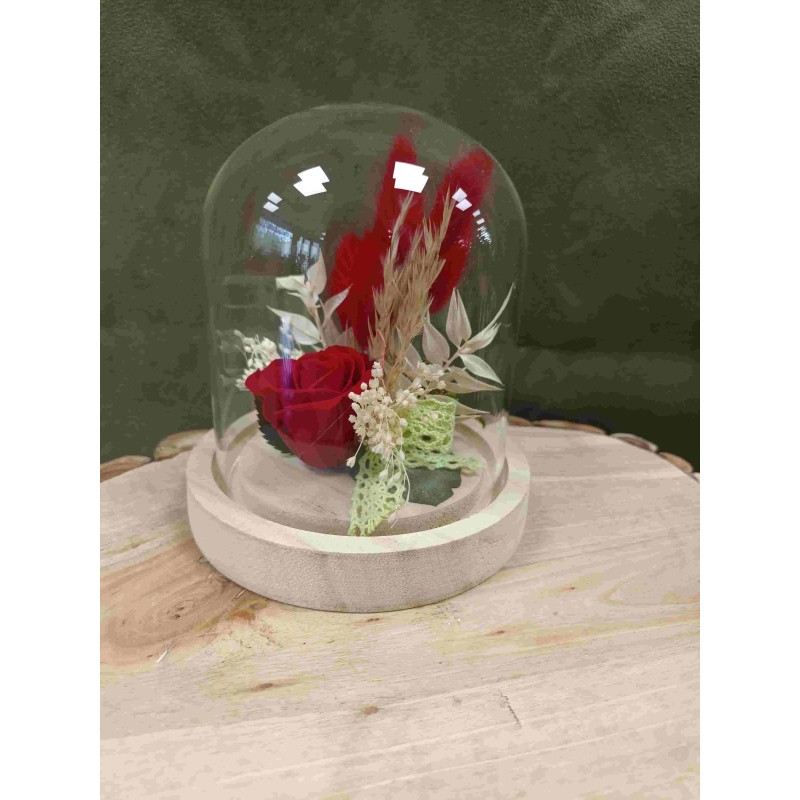 Rose stabilisée sous cloche | Grossiste fleuristes | Qualité prix Rose stabilisée sous cloche | Grossiste fleuristes | Qualité prix