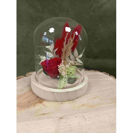 Rose stabilisée sous cloche | Grossiste fleuristes | Qualité prix Rose stabilisée sous cloche | Grossiste fleuristes | Qualité prix