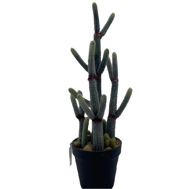 Cactus Artificiel | Grossiste Fleuristes | Fleurs Artificielles Cactus Artificiel | Grossiste Fleuristes | Fleurs Artificielles