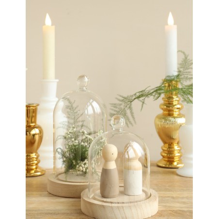 Cloche en verre | Fournisseur Verrerie | Qualité Prix Cloche en verre | Fournisseur Verrerie | Qualité Prix