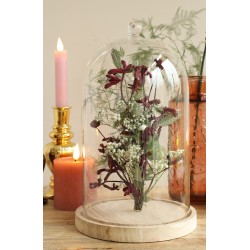 Cloche en verre  | Fournisseur Verrerie | Qualité Prix