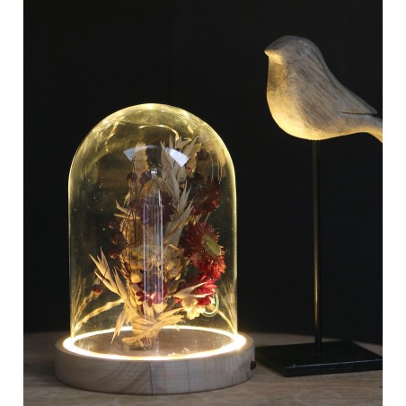 Fournisseur Verrerie | Cloche en verre | Qualité Prix Fournisseur Verrerie | Cloche en verre | Qualité Prix