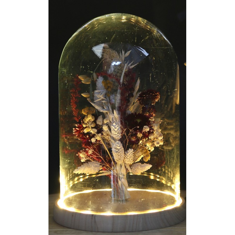 Fournisseur Verrerie | Cloche en verre | Qualité Prix Fournisseur Verrerie | Cloche en verre | Qualité Prix