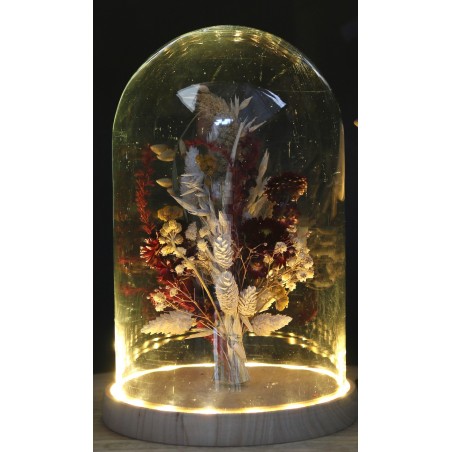 Fournisseur Verrerie | Cloche en verre | Qualité Prix Fournisseur Verrerie | Cloche en verre | Qualité Prix