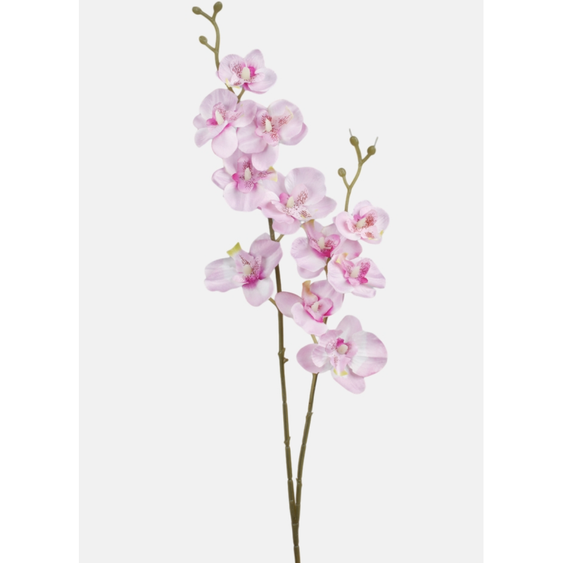 Orchidée Artificielle | Fleurs Artificielles | Qualité Prix Orchidée Artificielle | Fleurs Artificielles | Qualité Prix