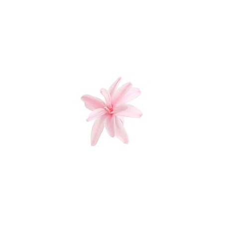 Jacinthe Stabilisé | Grossiste Fleuristes | Fleurs Artificielles Jacinthe Stabilisé | Grossiste Fleuristes | Fleurs Artificielles