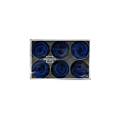 Rose Stabilisée  | Grossiste Fleuristes | Fleurs Artificielles