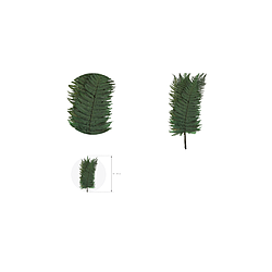 Fougère Stabilisée  | Grossiste Fleuristes | Végétal stabilisé