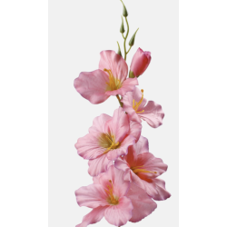 Glaïeul artificiel  |  Fleurs Artificielles | Pas cher