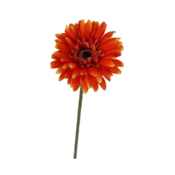 Tige Gerbera | Fleurs Artificielles | Pas cher