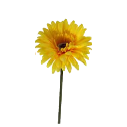 Tige Gerbera | Fleurs Artificielles | Pas cher