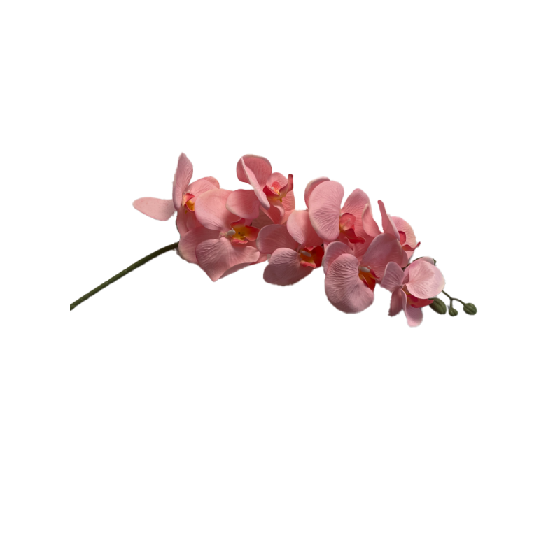 Orchidée Artificielle | Grossiste Fleuriste | Qualité Prix Orchidée Artificielle | Grossiste Fleuriste | Qualité Prix