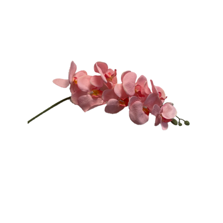 Orchidée Artificielle | Grossiste Fleuriste | Qualité Prix Orchidée Artificielle | Grossiste Fleuriste | Qualité Prix