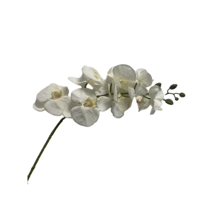 Orchidée Artificielle | Grossiste Fleuriste | Qualité Prix Orchidée Artificielle | Grossiste Fleuriste | Qualité Prix
