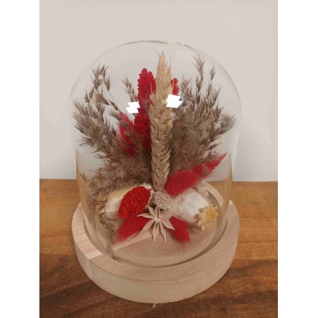 Fleur Séchée sous Cloche | Grossiste fleuristes | Qualité prix Fleur Séchée sous Cloche | Grossiste fleuristes | Qualité prix