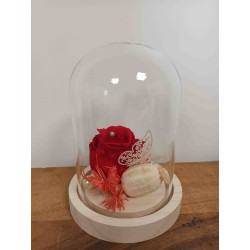 Composition sous cloche | Grossiste fleuristes | Qualité prix