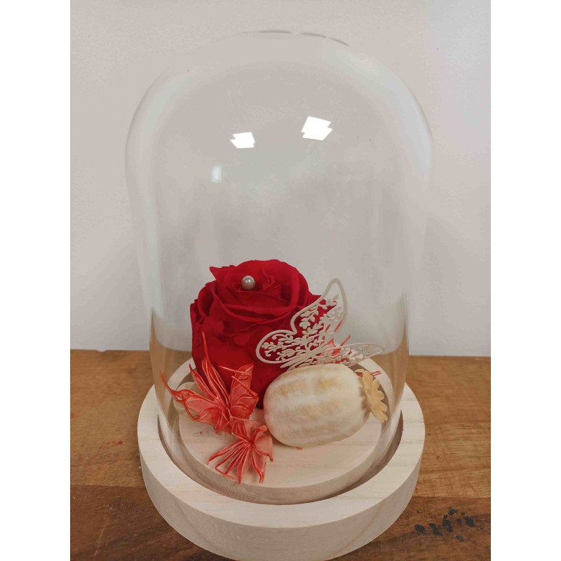 Composition sous cloche | Grossiste fleuristes | Qualité prix