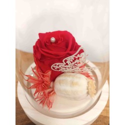 Composition sous cloche | Grossiste fleuristes | Qualité prix