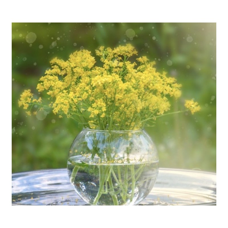Globe en verre | Grossiste verrerie | Qualité Prix Globe en verre | Grossiste verrerie | Qualité Prix