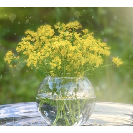 Globe en verre | Grossiste verrerie | Qualité Prix Globe en verre | Grossiste verrerie | Qualité Prix