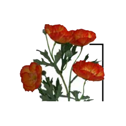 Coquelicot artificiel | Fleurs artificielles | Grossiste Fleuristes