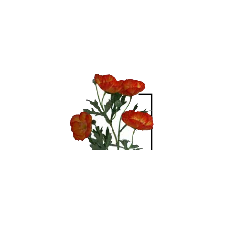 Coquelicot artificiel | Fleurs artificielles | Grossiste Fleuristes