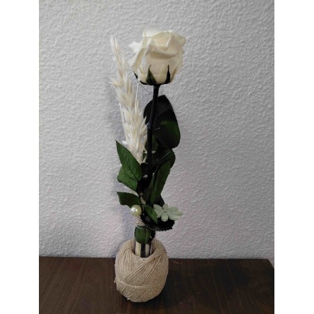 Fleurs séchées et Ficelle Corde | Grossiste fleuristes | Qualité prix