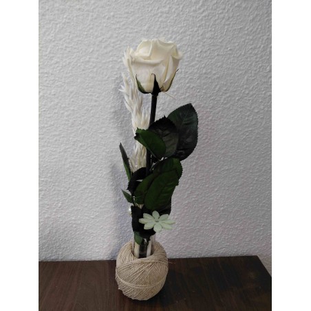 Fleurs séchées et Ficelle Corde | Grossiste fleuristes | Qualité prix