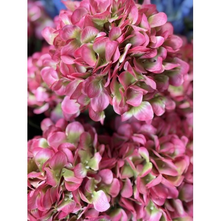 Hortensia Artificiel | Fleurs Artificielles | Qualité prix