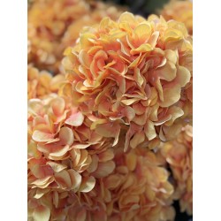 Hortensia Artificiel | Fleurs Artificielles | Qualité prix