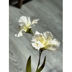 Iris Artificiel | Grossiste Fleuriste | Qualité Prix