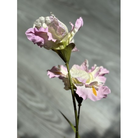 Iris Artificiel | Grossiste Fleuriste | Qualité Prix