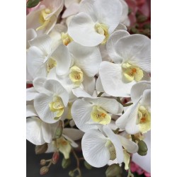 Orchidée Artificielle | Grossiste Fleuriste | Qualité Prix