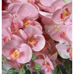 Orchidée Artificielle | Grossiste Fleuriste | Qualité Prix